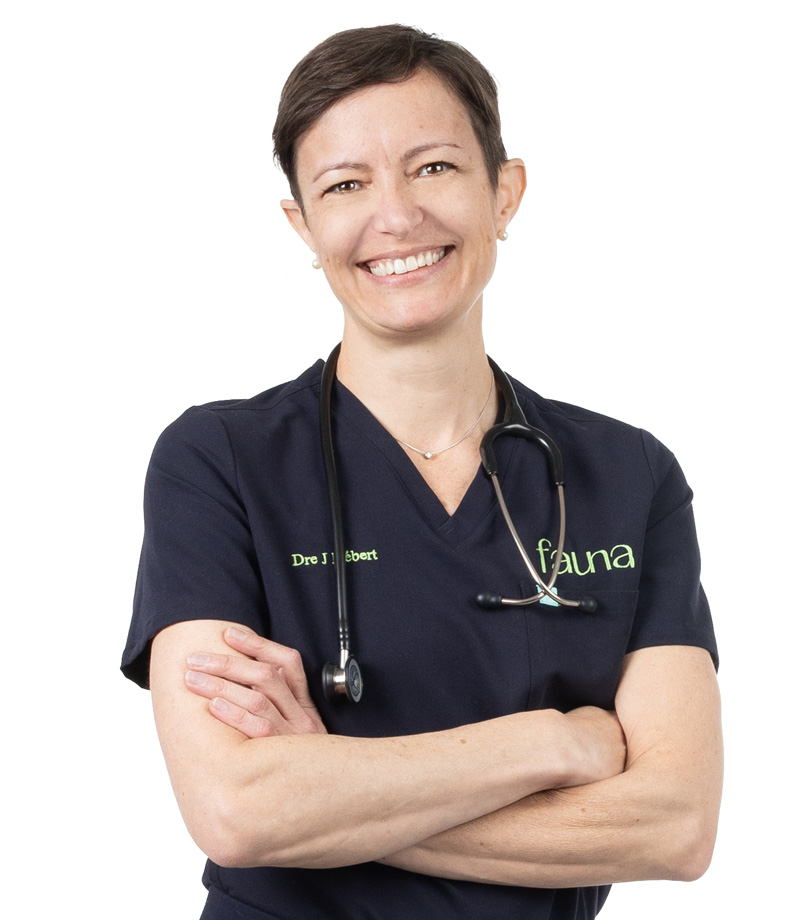 Julie H&eacute;bert - v&eacute;t&eacute;rinaine animaux exotiques