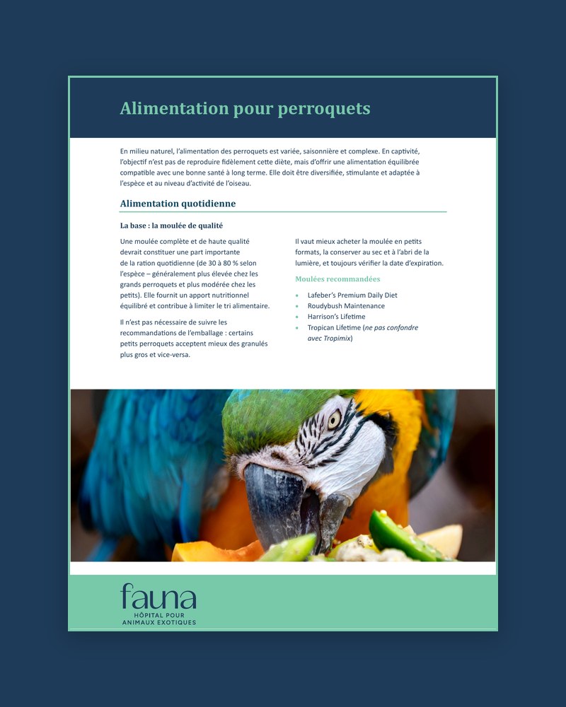 Fiche conseil sur l'alimentation des perroquets - Fauna H&ocirc;pital animaux exotiques.